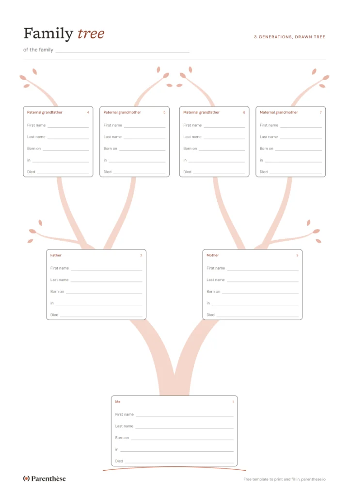 Drawing of a family tree to fill in, a trunk and branches connecting seven boxes over 3 generations